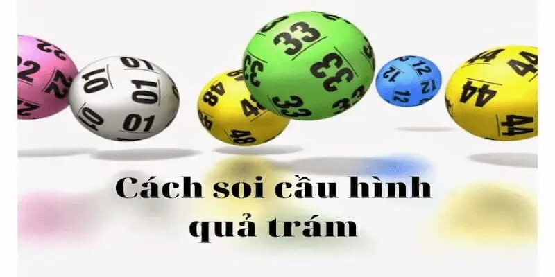 lô hình quả trám Tại sao nên áp dụng lô hình quả trám