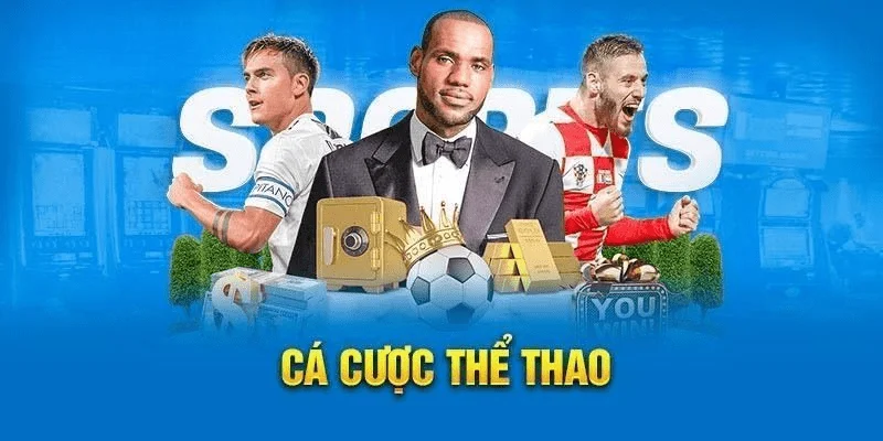 Tổng quan về thể thao 8xbet